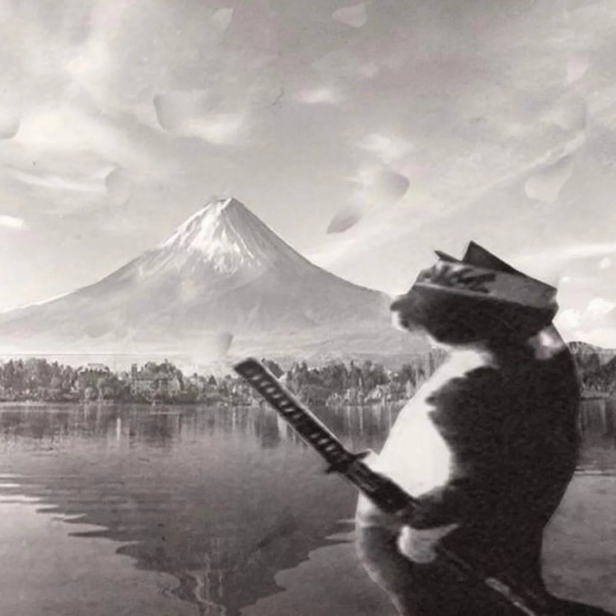 PunchingCat's tweet image. 