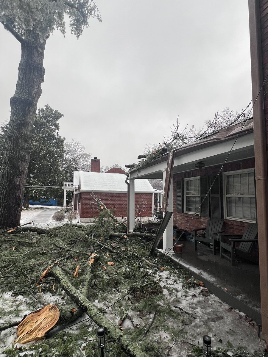 Victoria Payne tweet media