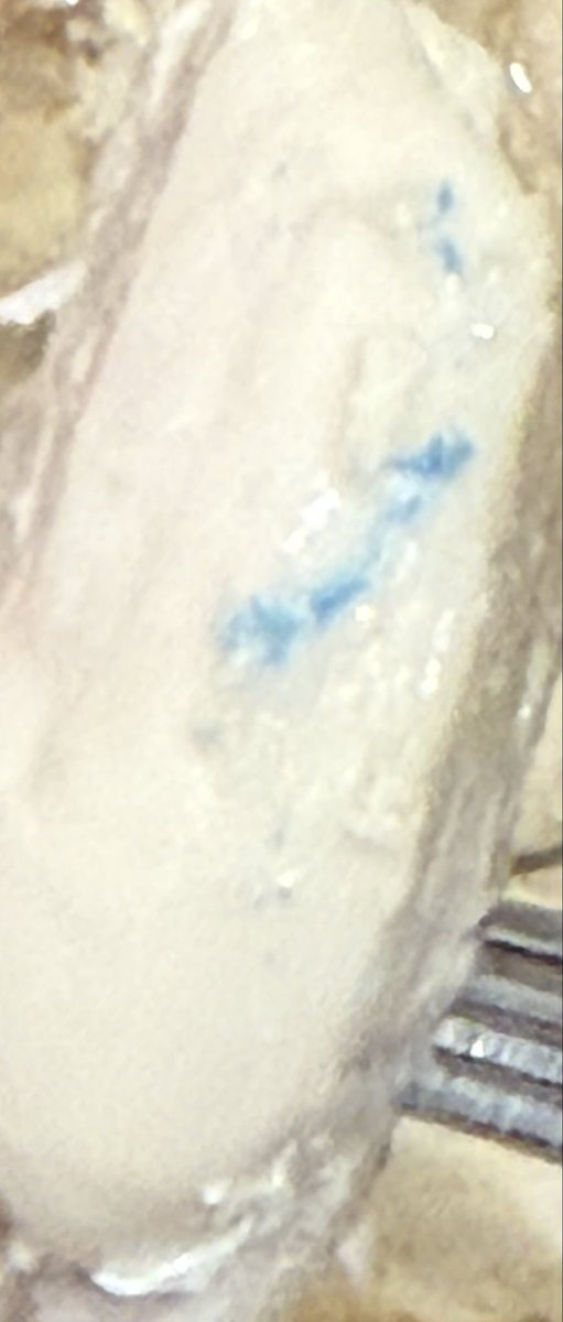 _rich_'s tweet image. Hi @Tesco - I have some chicken from your store, it has traces of what looks like blue plastic (or dye) on the chicken…