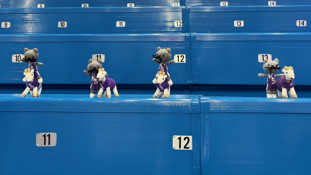 751ALF's tweet image. Let's GO! @KSUWBB