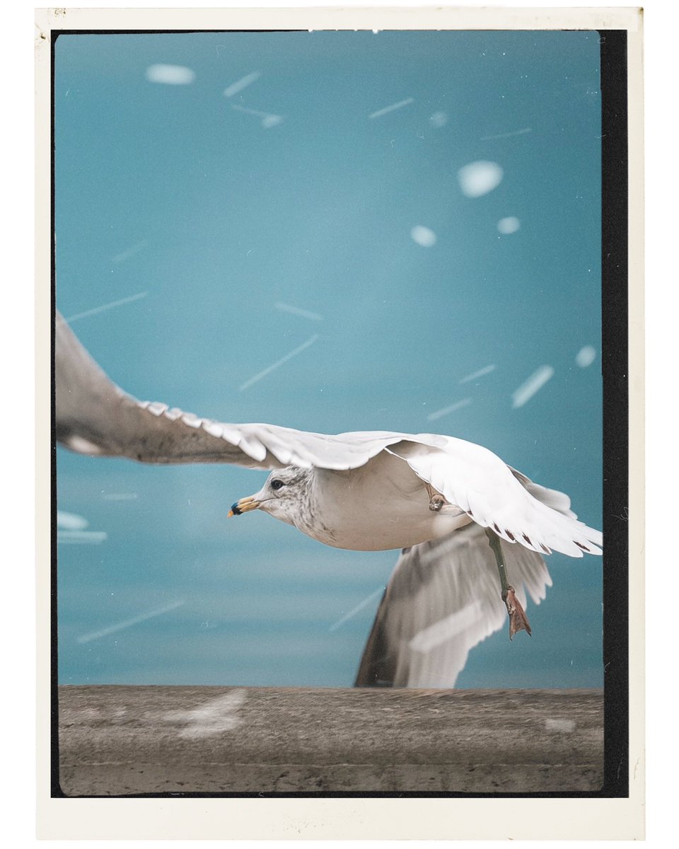 David Kindervater tweet media