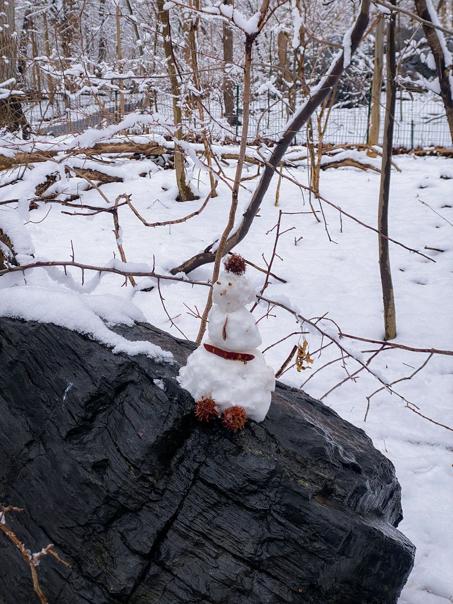 effie .. tweet media