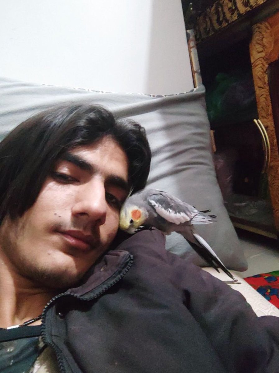 mothehs's tweet image. 