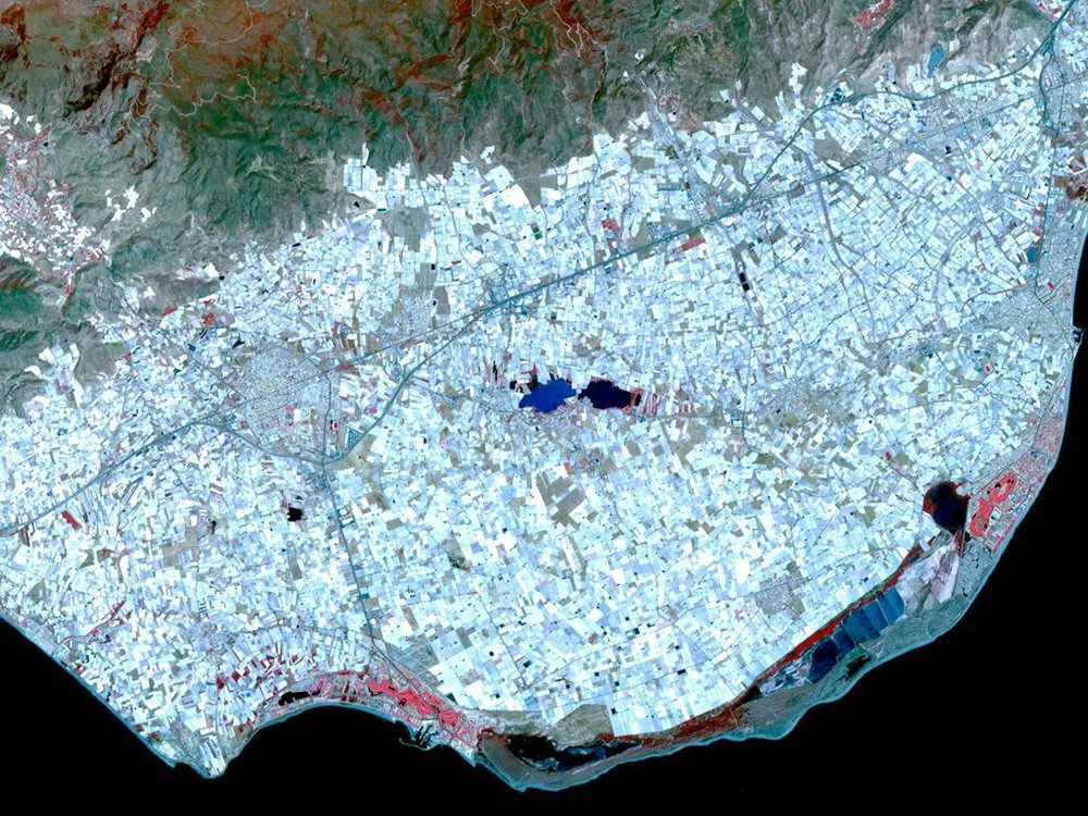 There's a region in southeastern Spain called Almería. If you look at it on Google Earth, you'll see something that looks like a glitch in the satellite imagery.

It's not a glitch. It's 64,000 acres of plastic greenhouses. So much plastic sheeting that it's visible from space.