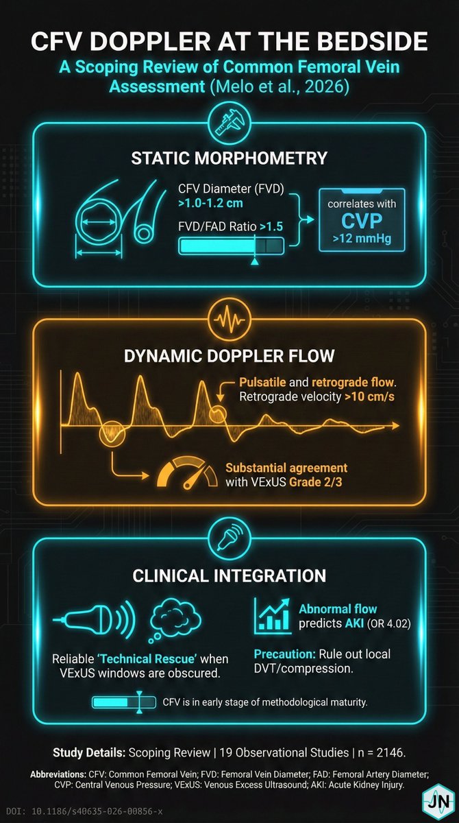 jesus_nieves_a's tweet photo. Emerging evidence supports common femoral vein Doppler (#CFVD) for #VenousCongestion. Whilst protocols require refinement, its clinical signal is getting difficult to ignore. @edu_kattan
https://t.co/ZnIB6PnyuT https://t.co/e6YdC6g9ak