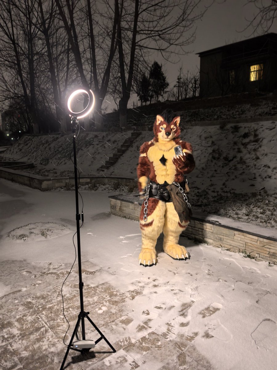 RedWolfSiche's tweet photo. 狼在拍照中
#FursuitFriday #fursuit #furry https://t.co/RHmf2zcX3b