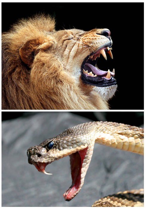 Why did the oldest statues in Cambodia depict animals with human-like teeth?