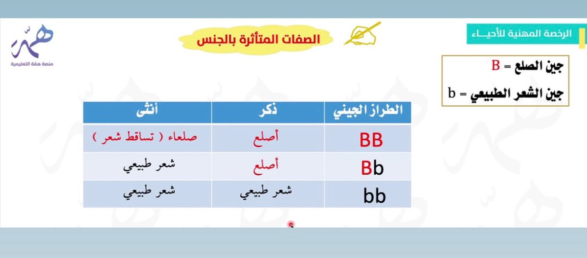 هاني عباس - مدرب الرخصة المهنية احياء tweet media