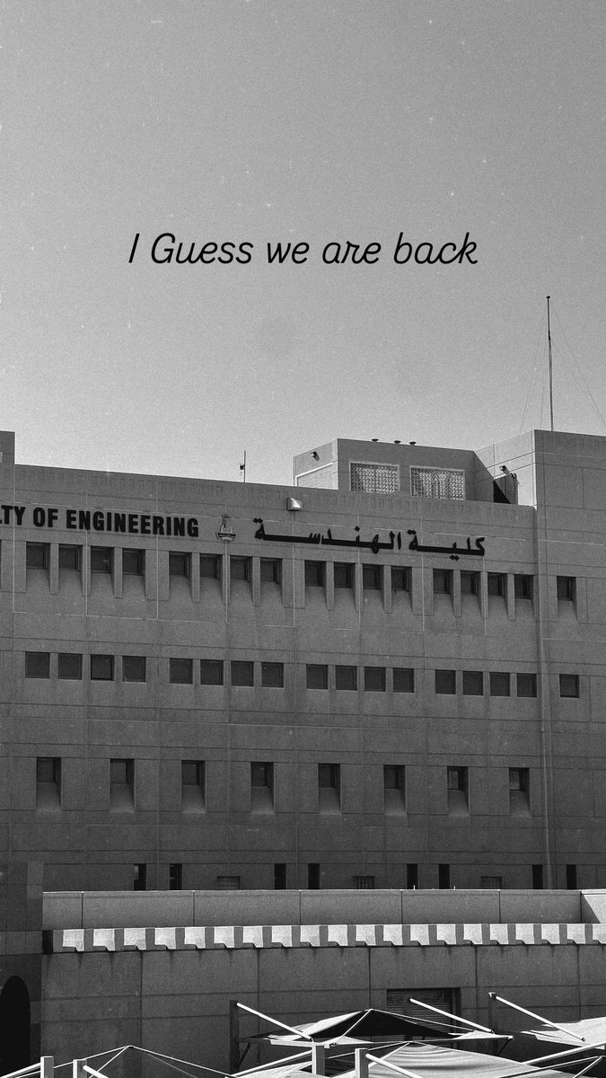 Ammar Mohammad ✨ tweet media