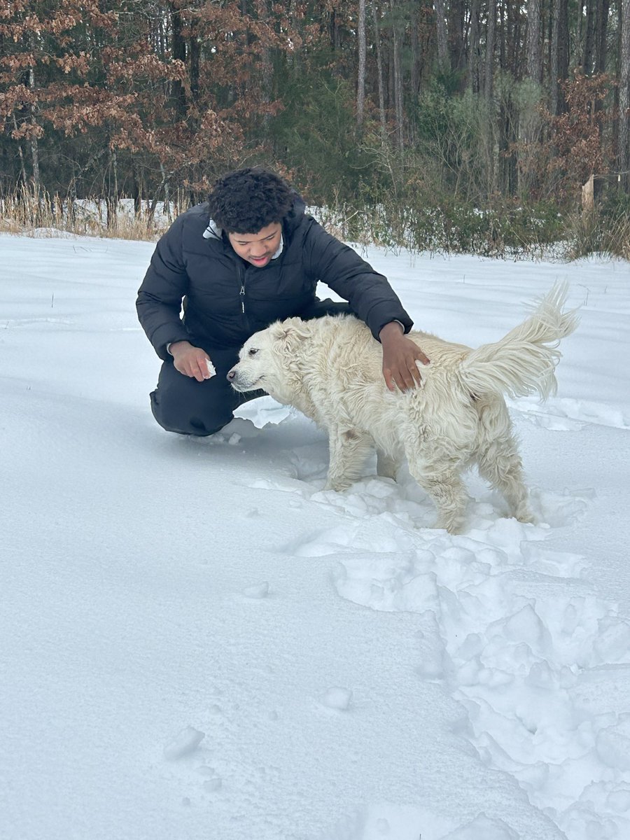 Elijah Branch tweet media