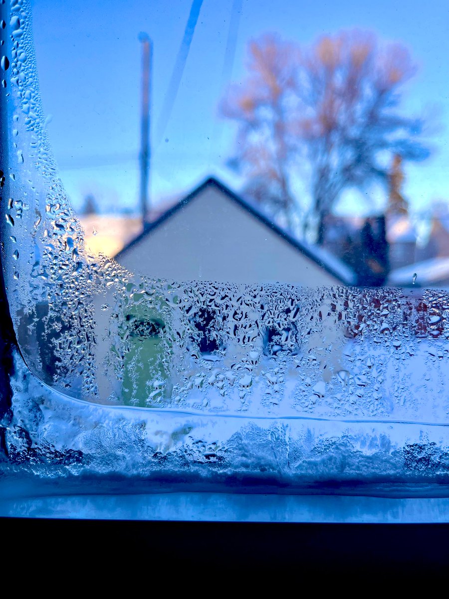 Umut Oğuzoğlu tweet media