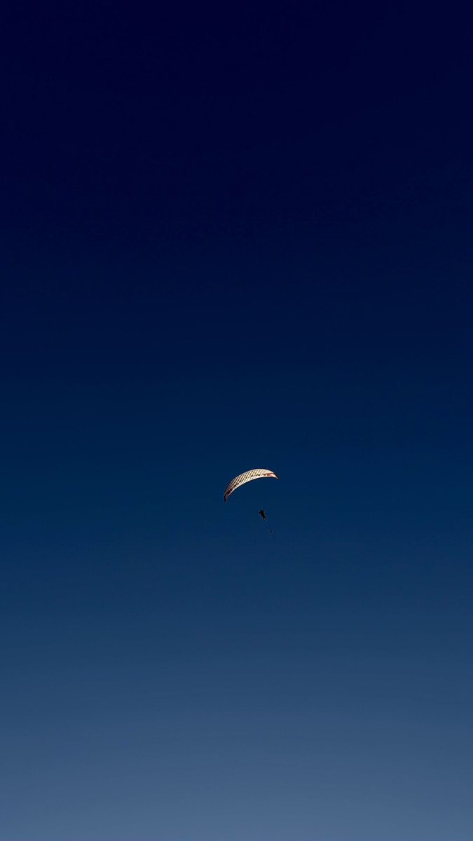 奥露琪 🌹 tweet media