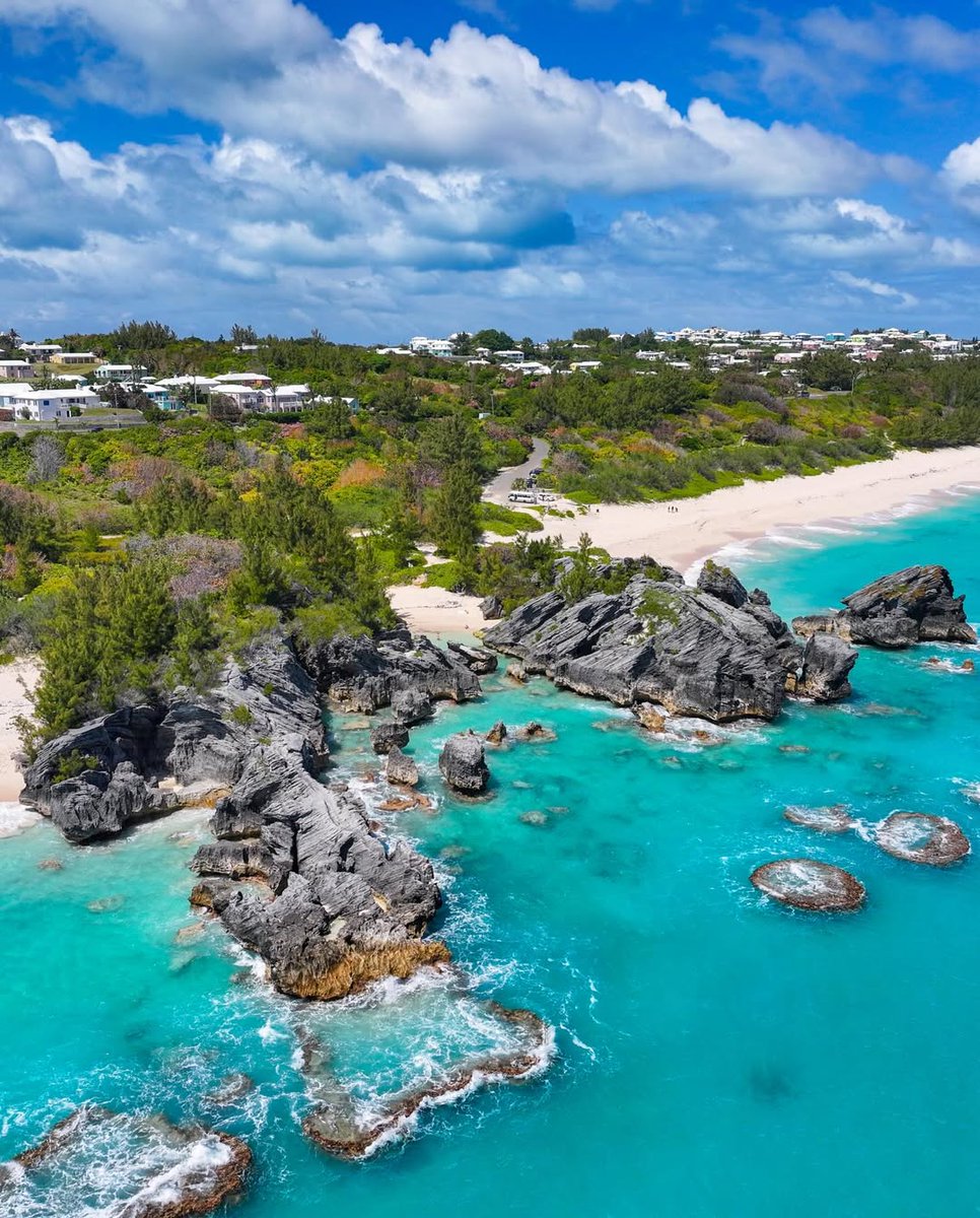 Bermuda tweet media