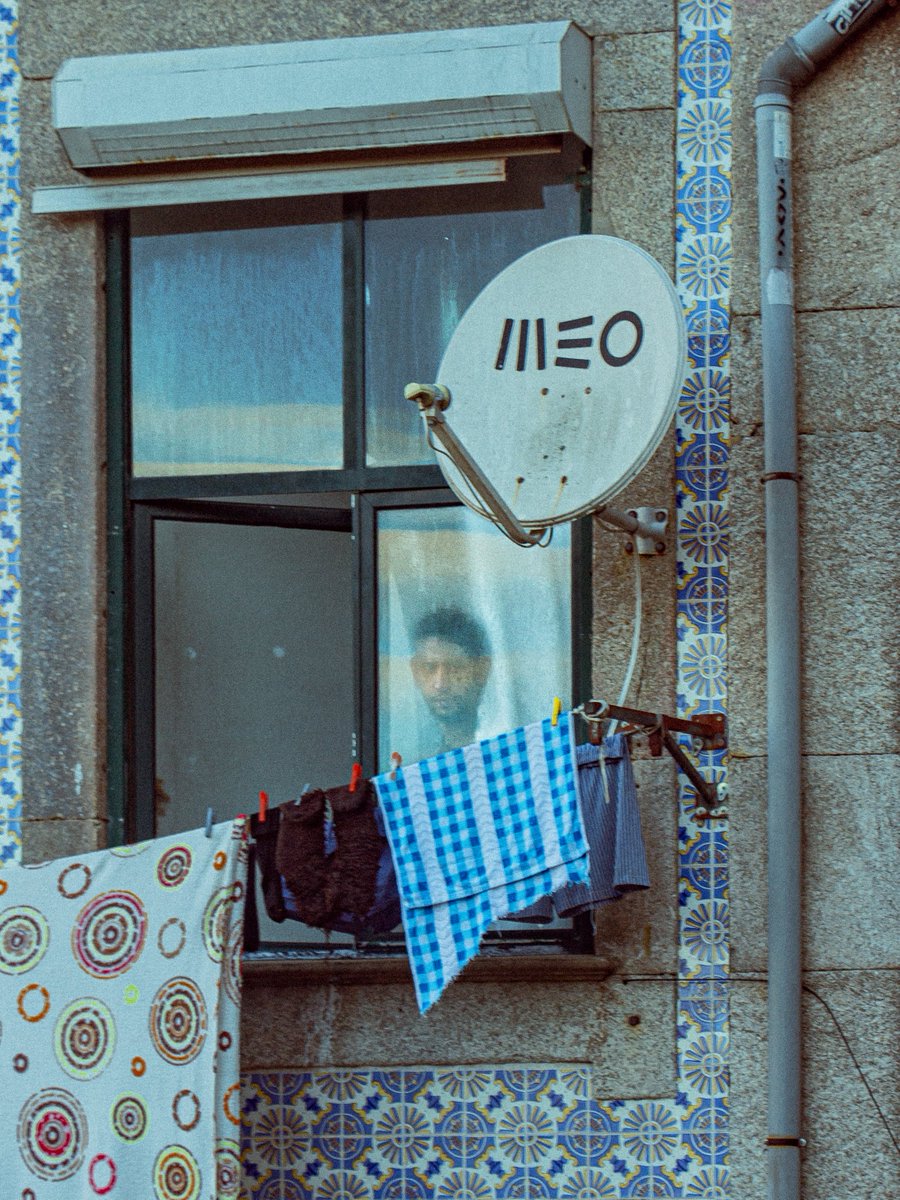 alealejandro tweet media