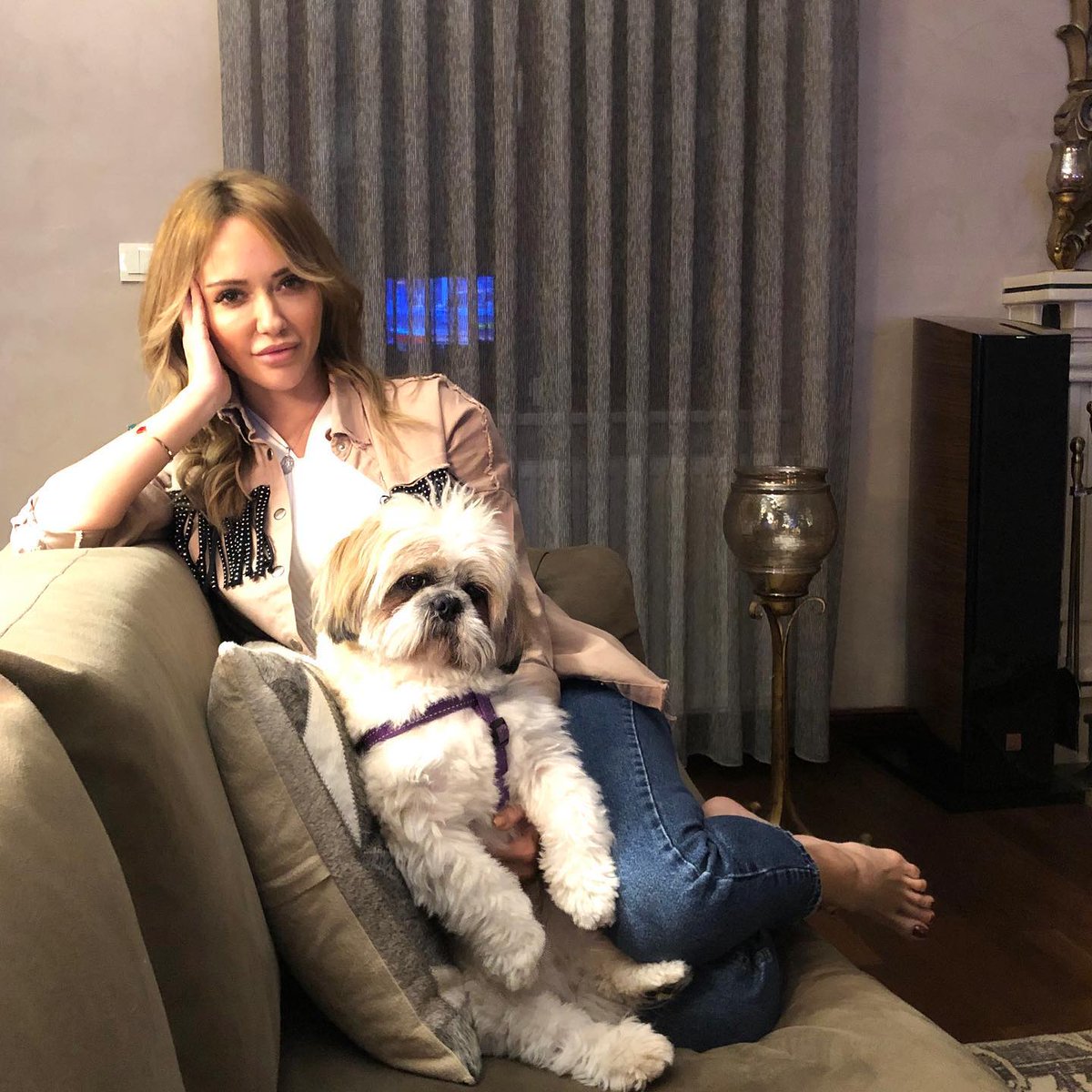 stevengshell's tweet image. My cute baby🐶💗#petlover