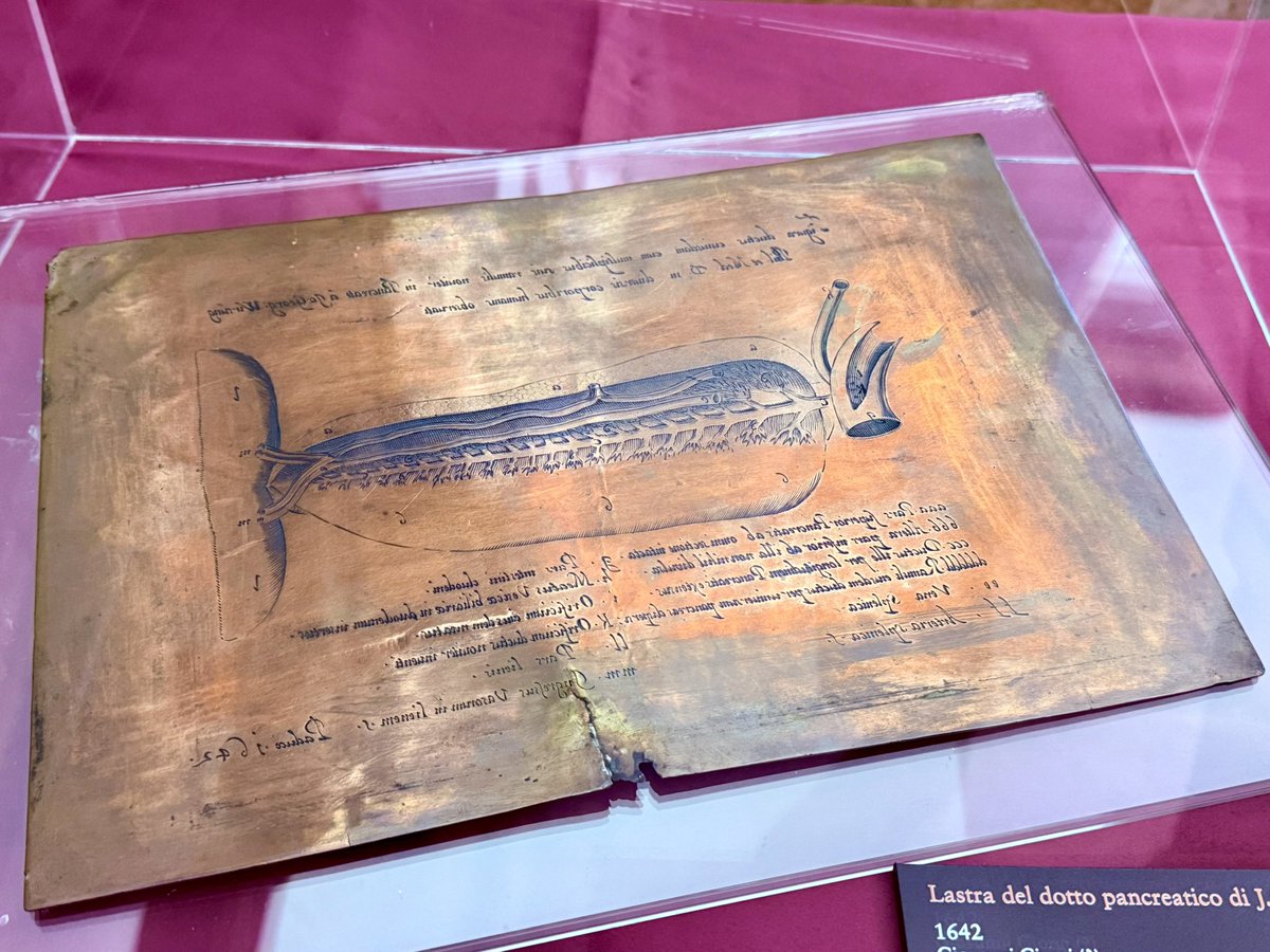 Giovanni Marchegiani tweet media