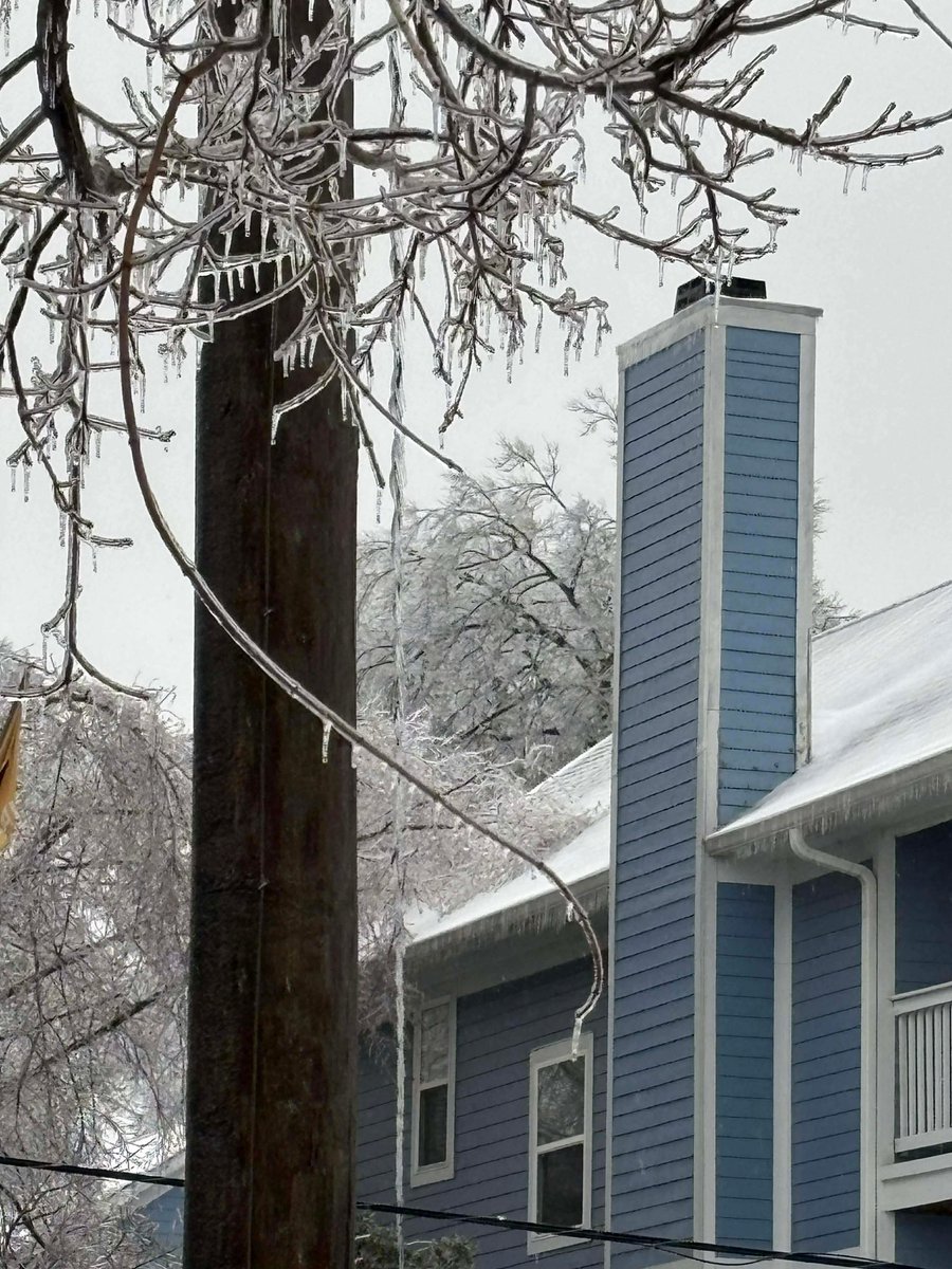 Tyler Bond tweet media