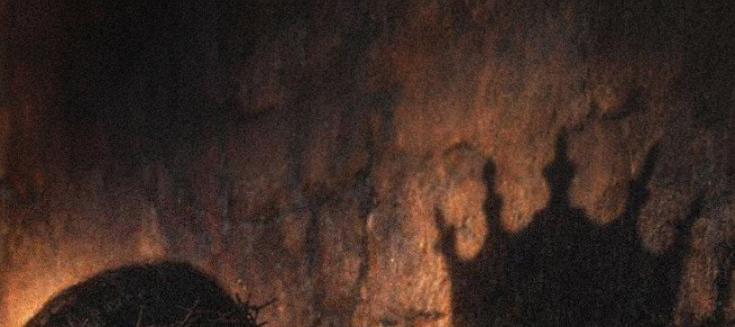 KnightWorld's tweet photo. "If you believe Jesus rose from the dead, type Amen."
Tap the post