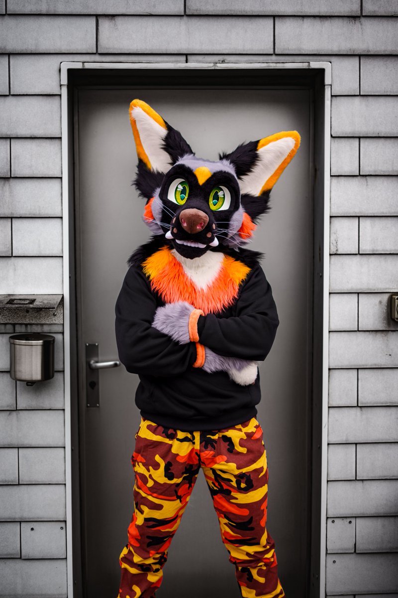 🔸Ory🔸 tweet media