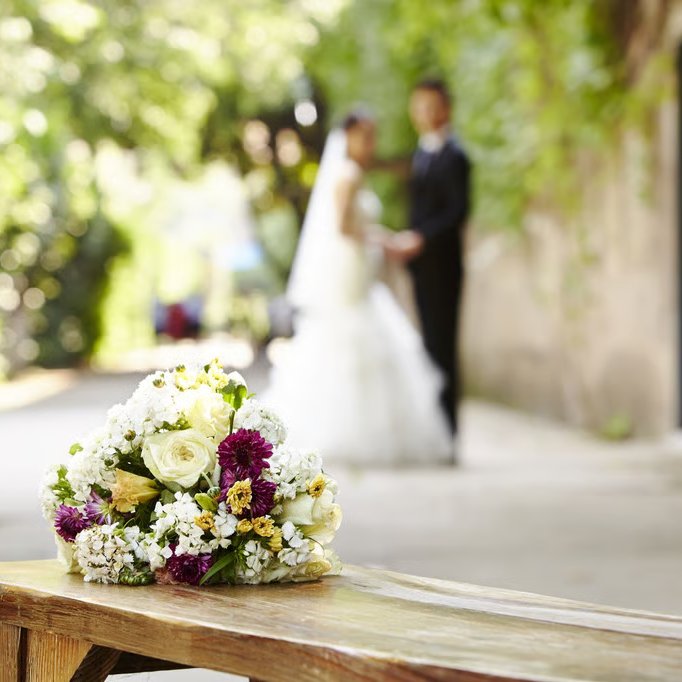 Cultination tweet media