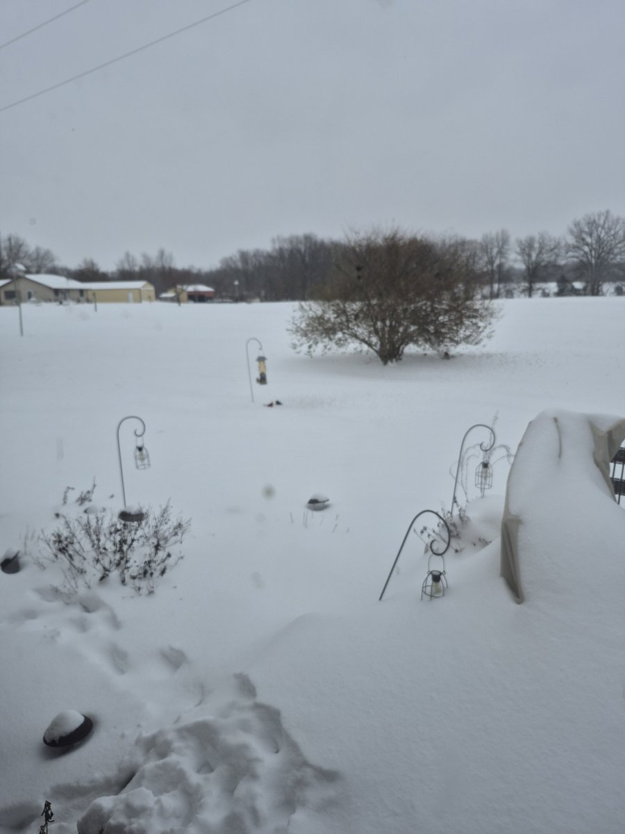 Keil Peebles tweet media