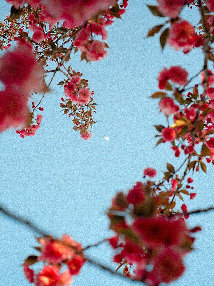 photos i took on expired film 🎞️