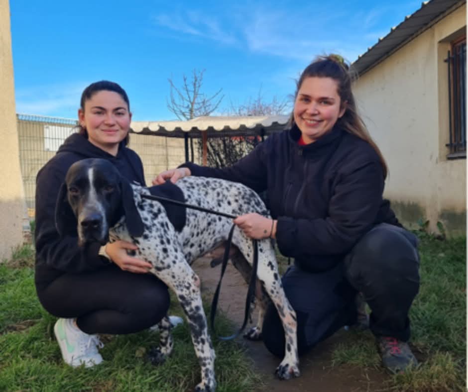 Gendarmerie_042's tweet photo. La communauté de brigades de #Sorbiers a donné une cinquantaine de couvertures à la SPA de Brignais
Ces couvertures usagées connaissent ainsi une seconde vie en apportant confort et chaleur aux animaux du refuge
De nombreux animaux attendent aujourd’hui d’être adoptés au refuge https://t.co/jWdx9Sm26S