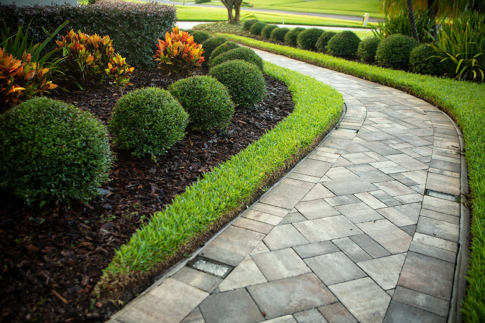 LandscapeDavis's tweet image. Tips for Designing the Perfect Walkway for Your Home…
VIEW TIPS... davislandscapeky.com/tips-for-desig…

#paverpatios #pavers #paverwalkways #paverdriveways #walkways #driveways #homeandgarden #homeimprovment #cincinnati #nky #northernkentucky #wilder