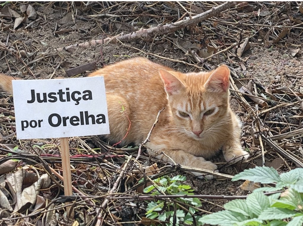 GynMiguel's tweet image. 