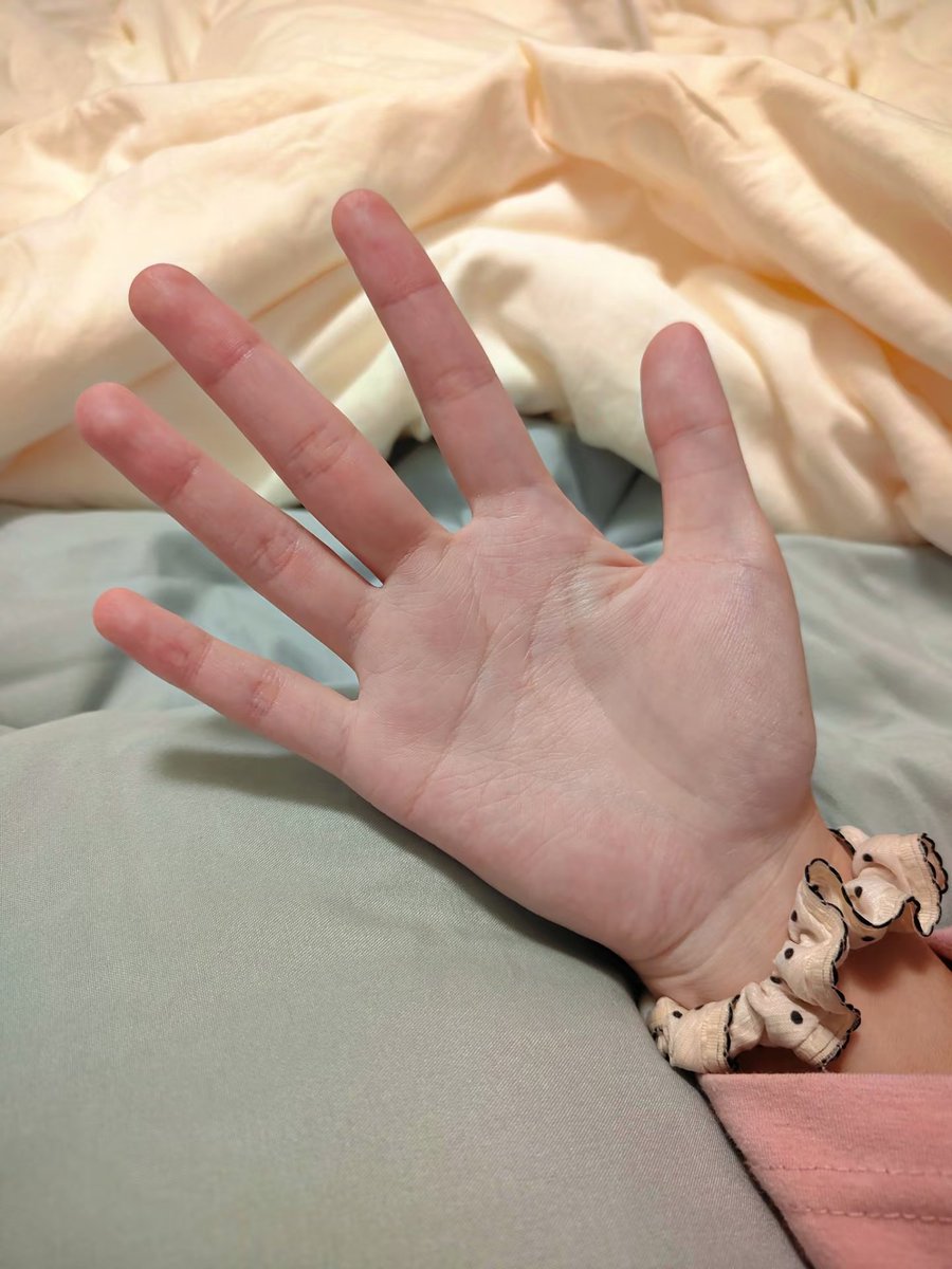 中年美少女 tweet media