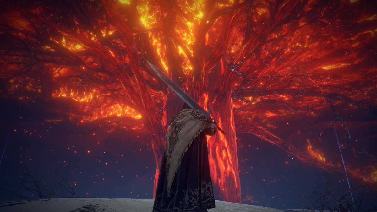 oh my sweet summer child