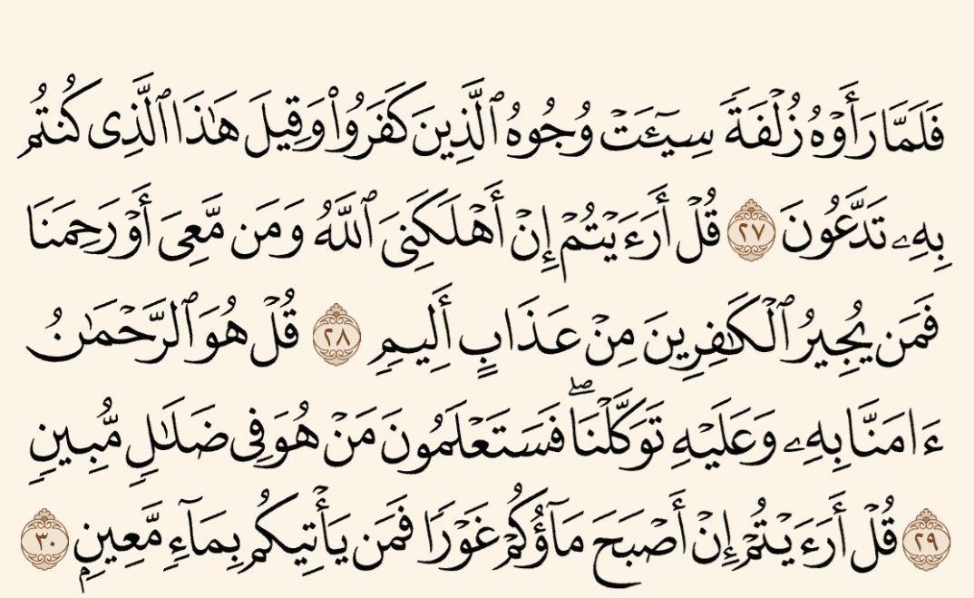 المُصْحَف tweet media