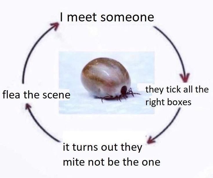 0rthoptera's tweet image. #arthroslop