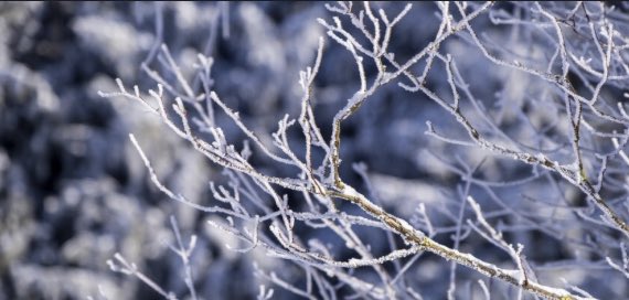 Third Federal tweet media