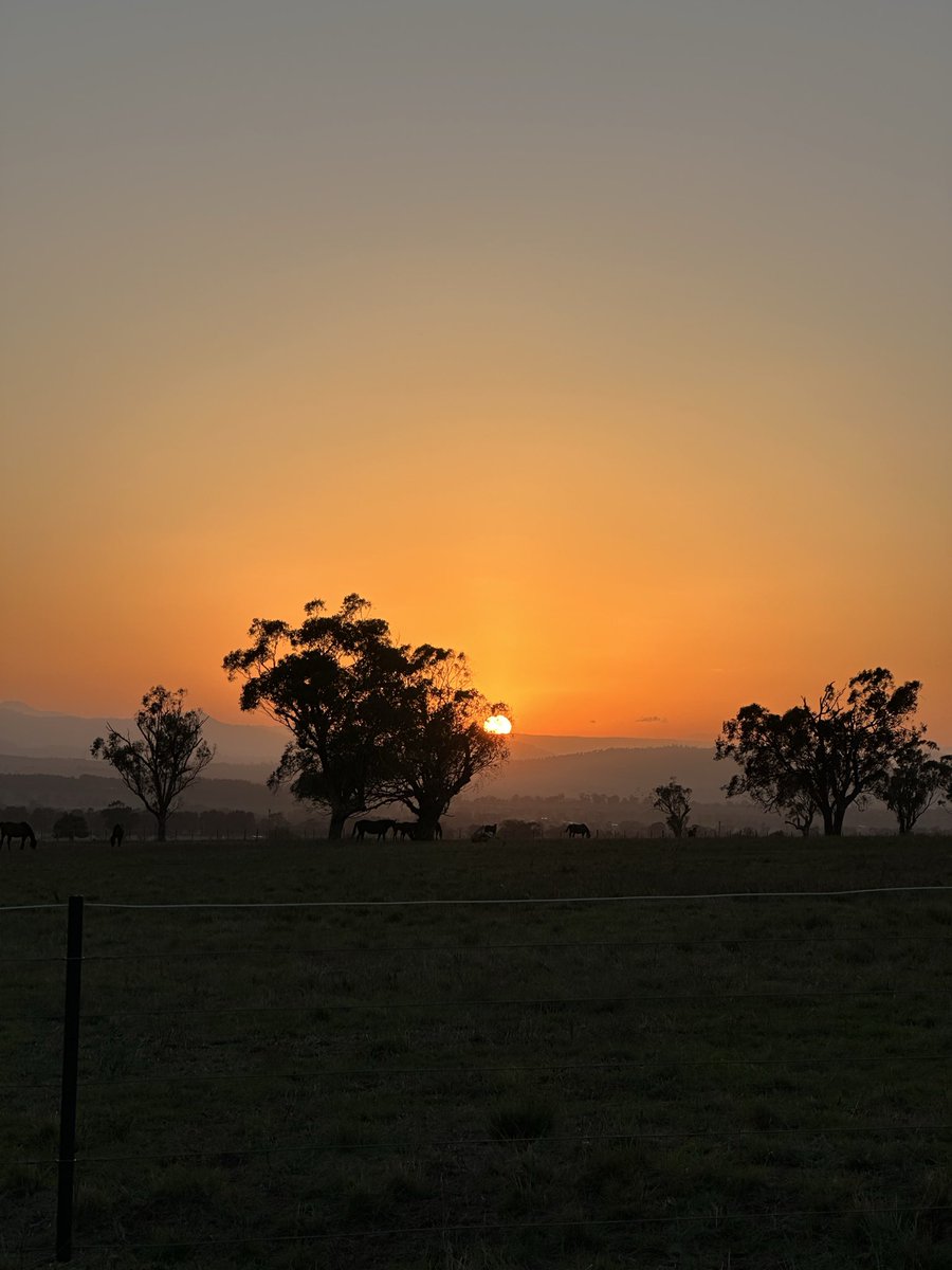 Magners Farm tweet media