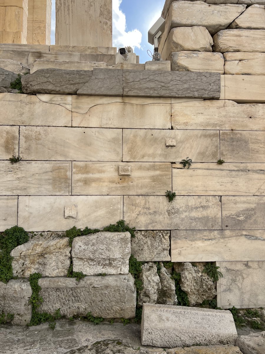 Nico Cserepy tweet media