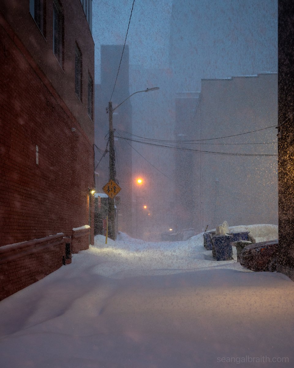 🏭🏘🏢Sean Galbraith🗻❄️🥏 tweet media