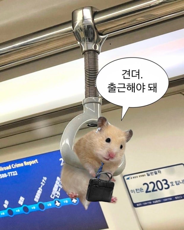 rameeeeeei's tweet image. 조은아침💫💛
어제도 오늘도 개츄븜주의하시고
따숩게 다녀오세요....! 물론 저두요😞
하.....전 글러먹엇으니 공주님들은 월루하셔여
몰래 종게해도 좋구요....일단 전...망했어요
빠른퇴근요망🏃🏻‍♀️🏃🏻‍♀️🏃🏻‍♀️캬캬캬캬컼ㅋㅋ