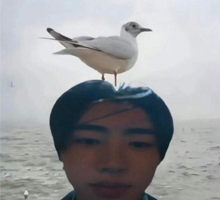 keeh00na's tweet image. I'm looking for interactive #moots

⭑. she/her, 19 . ( brazilian )
⭑. eng / pt-br / de .
⭑. stay, p1ece, coer, engene and + (multifandom)
⭑. new acc. to #stantwt &amp;amp; #kpoptwt

♡︎/↻ are very much appreciated ᰔ