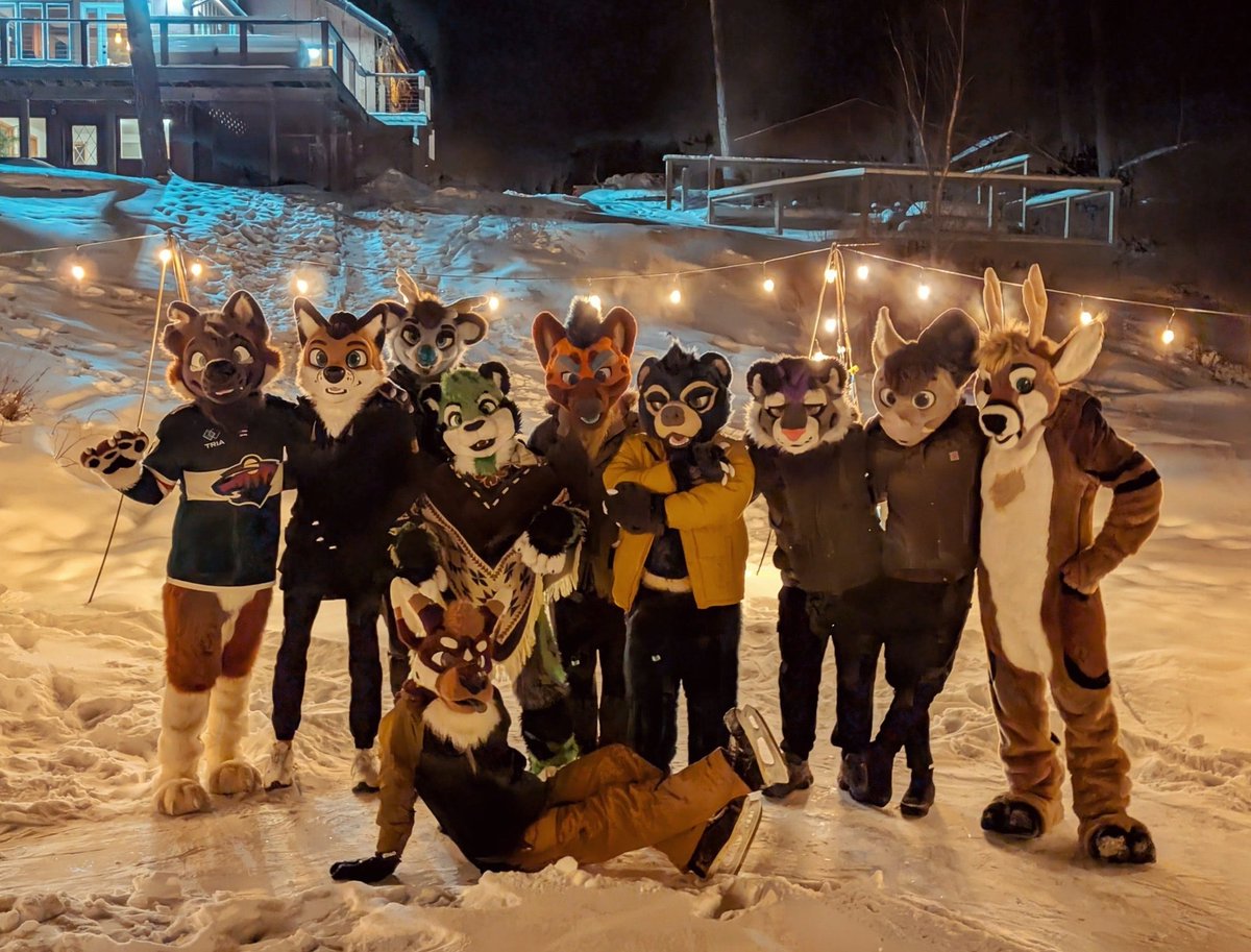 Sondyr. 🦊 tweet media