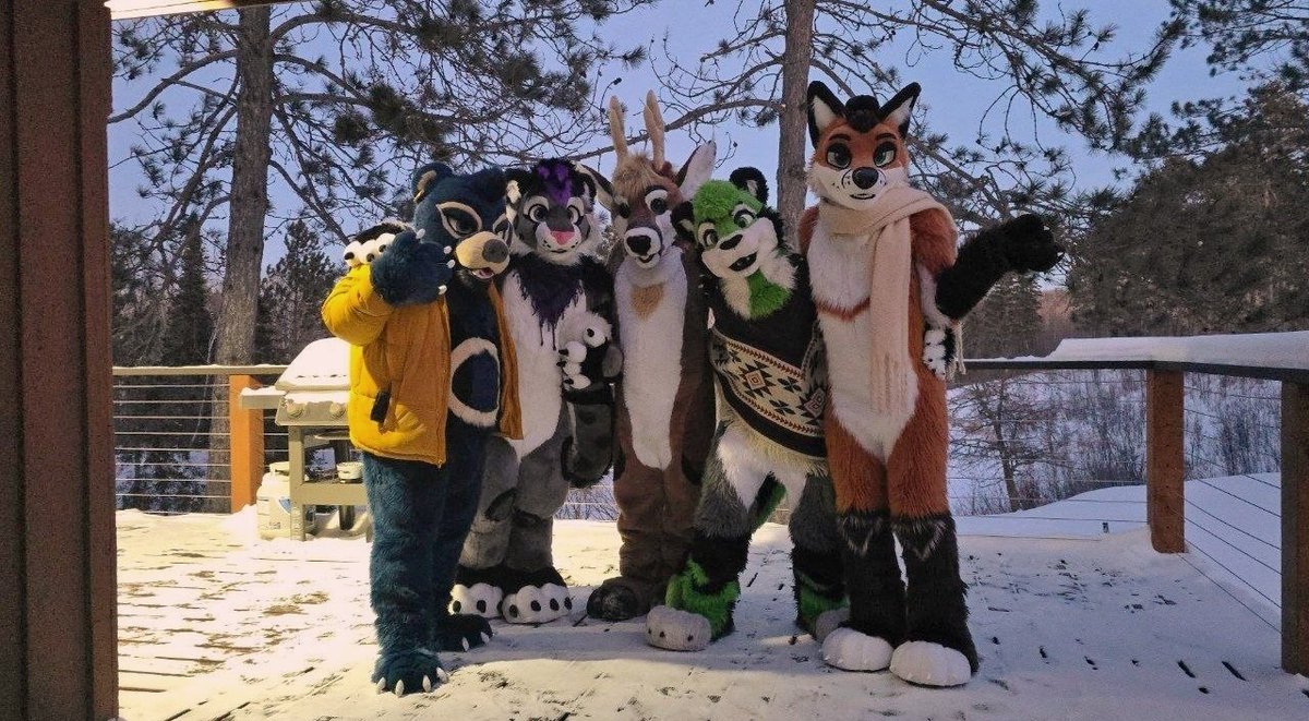 Sondyr. 🦊 tweet media