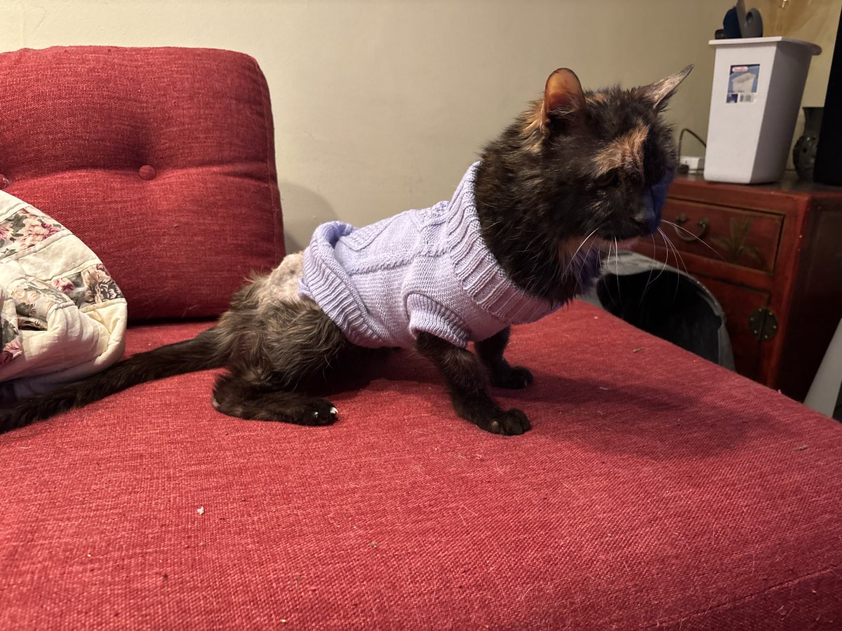 Tank_Gates tweet media