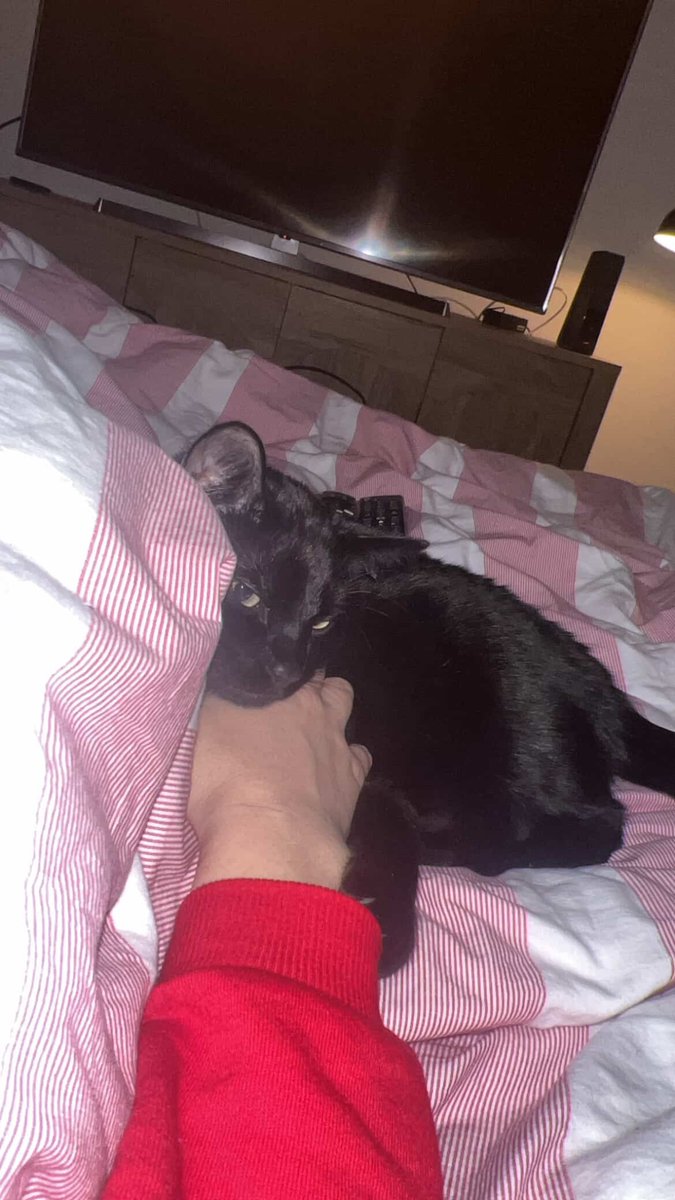 Cellularvice's tweet image. It’s my life 2