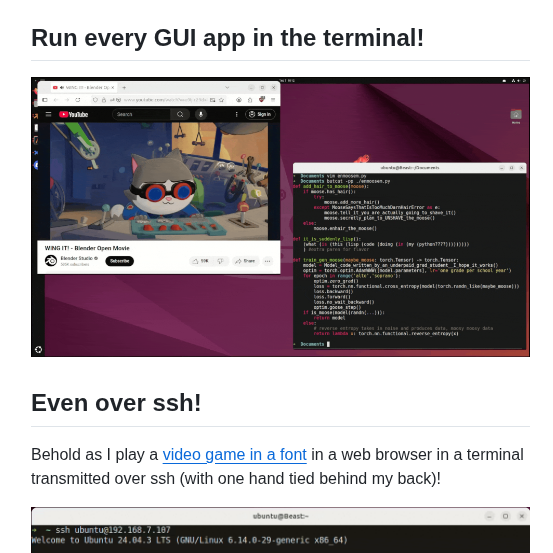 Runs GUI applications in the terminal over SSH

github.com/mmulet/term.ev…