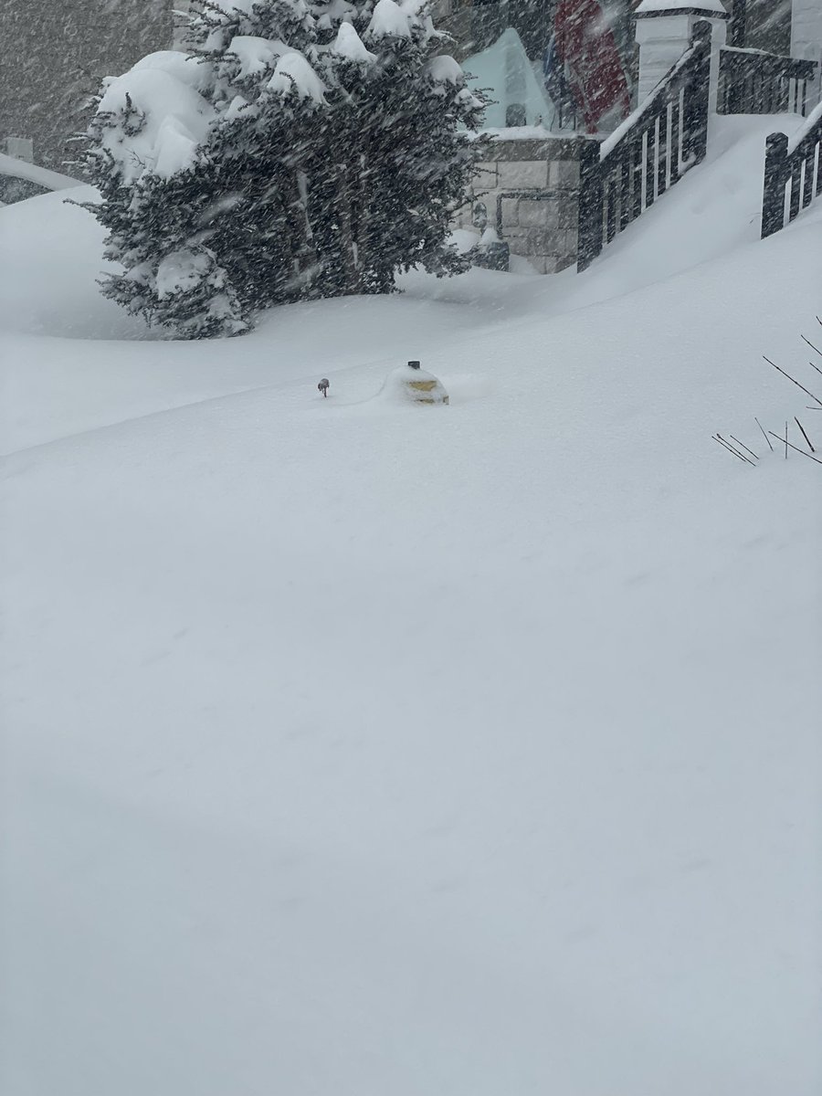 TTC146Eminem's tweet photo. Be a good neighbour! βοΈ
If youβre out shovelling your walk, please take a moment to clear the fire hydrants on your street too π
Every second counts.
#Toronto #CityOfToronto #TorontoFireServices #TFS #WinterStorm https://t.co/64yBx7d9C1