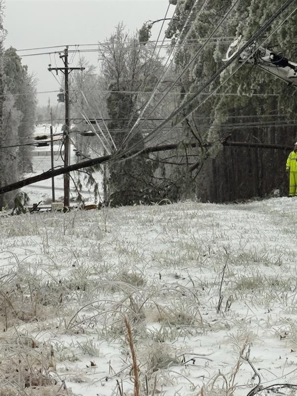 MidTnElectric tweet media