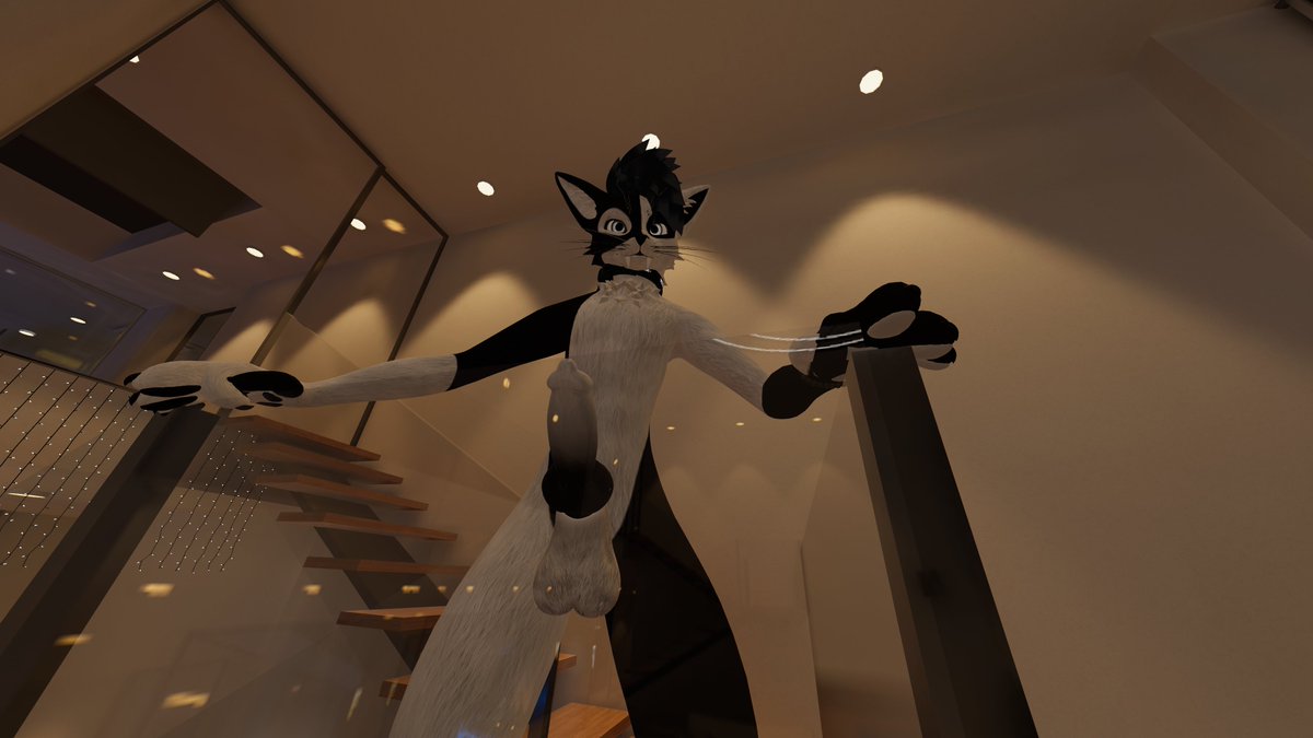 🇵🇱 ReDoXX 🔞 tweet media