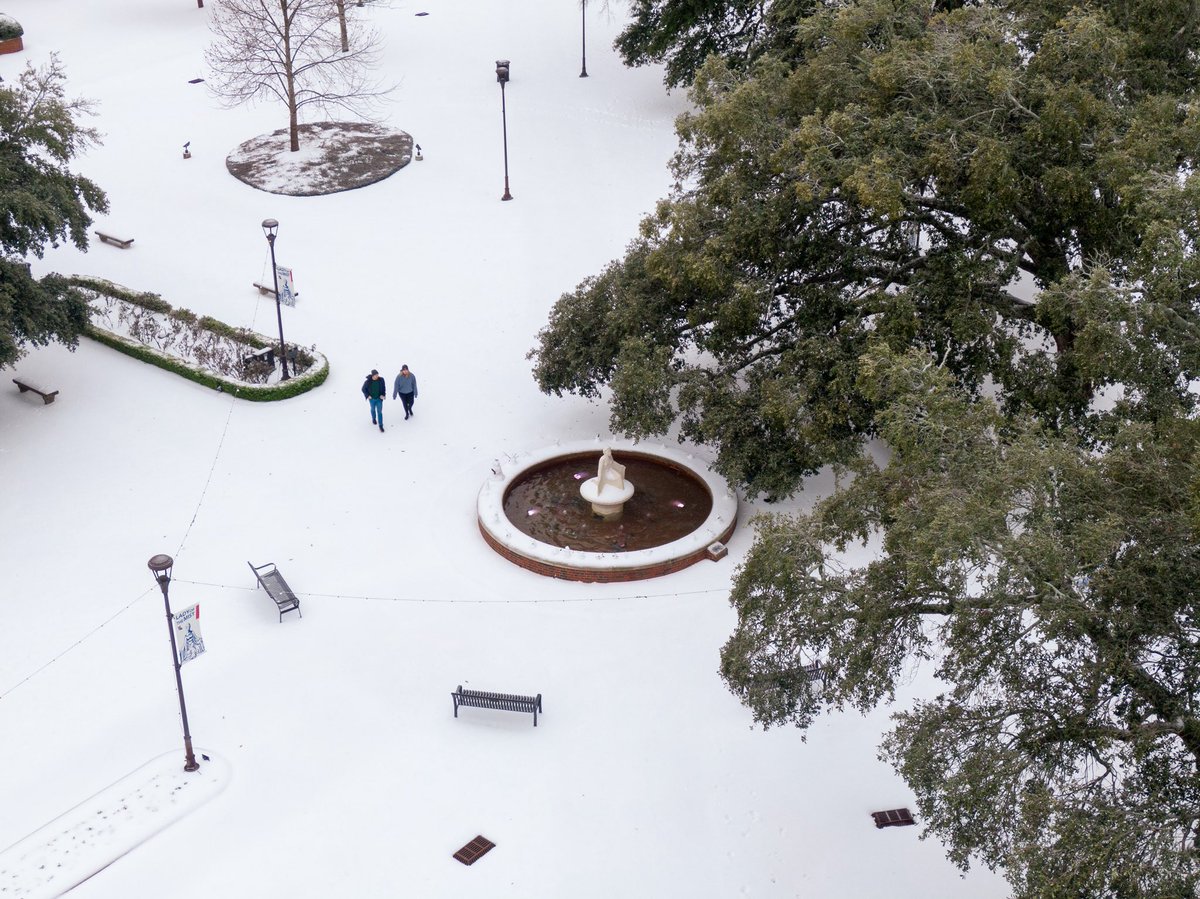 It's so n(ice) outside! 🥶