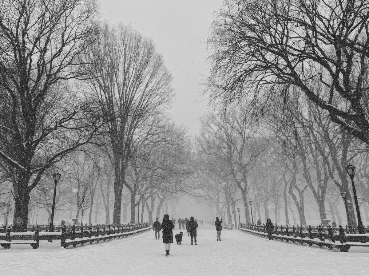 Central Park, blanketed in snow during today’s snowstorm in New York.