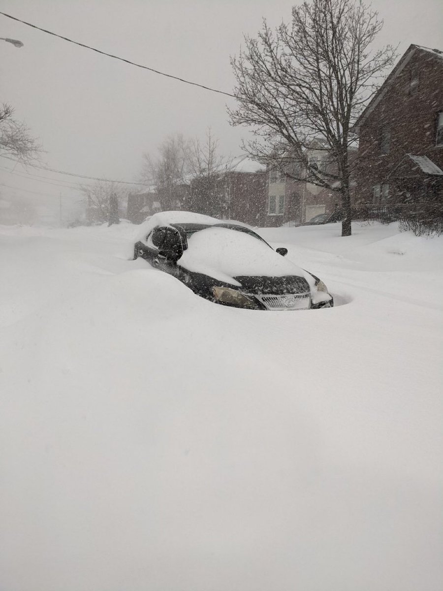 This is 60 cm + worth of snow in Scarborough and it’s still going ❄️